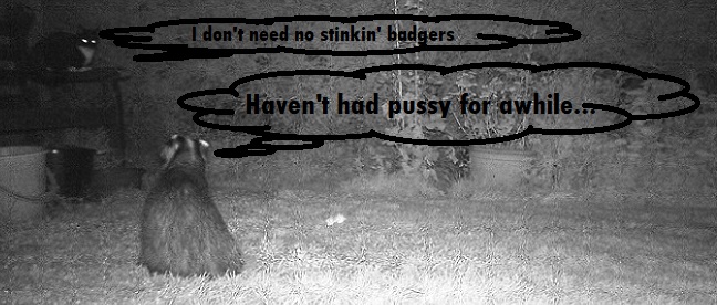 Name:  Badger v Cat.JPG
Views: 1275
Size:  91.6 KB