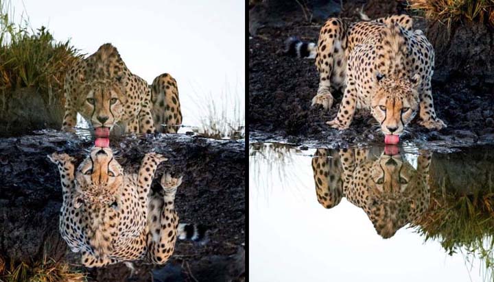 Name:  spots2.jpg
Views: 5032
Size:  63.8 KB