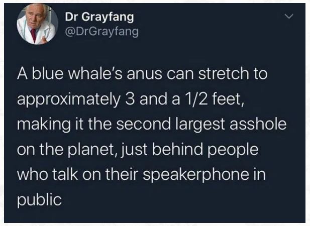 Name:  anus.JPG
Views: 2519
Size:  46.3 KB