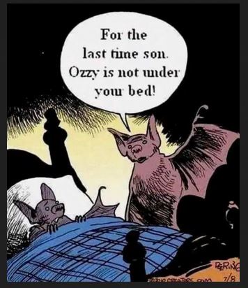 Name:  ozzy.JPG
Views: 4137
Size:  38.6 KB