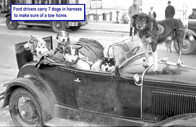 Name:  towdogs.jpg
Views: 1241
Size:  64.1 KB