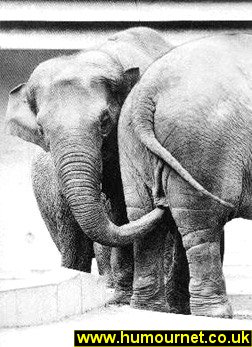 Name:  smelly[1].jpg
Views: 1341
Size:  32.1 KB