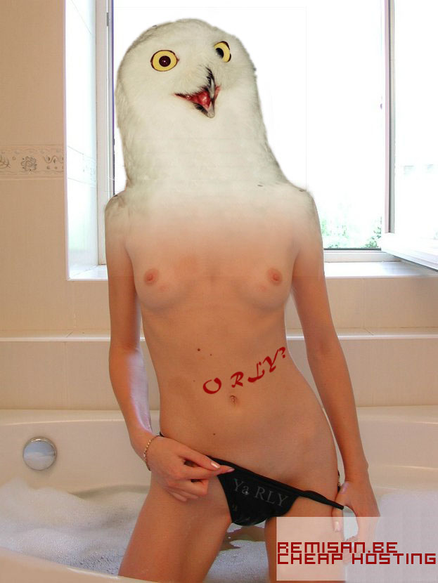 Name:  orly.jpg
Views: 5121
Size:  91.0 KB