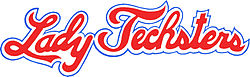 Name:  Ladytechsters.jpg
Views: 467
Size:  12.3 KB