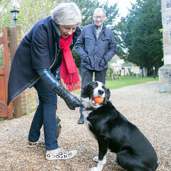 Name:  Blitz the Border Collie.jpg
Views: 306
Size:  196.1 KB