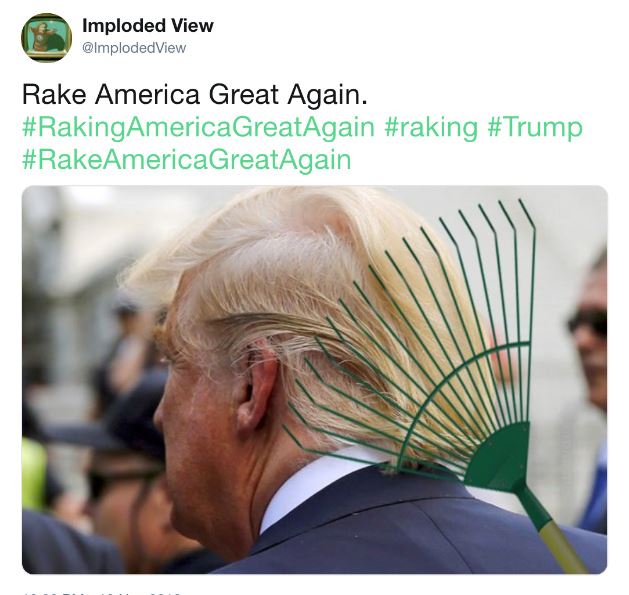 Name:  rake.JPG
Views: 953
Size:  60.5 KB