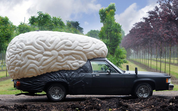 Name:  brain-car-1.jpg
Views: 163
Size:  65.2 KB