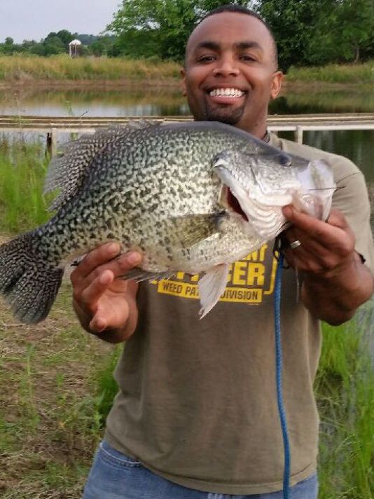 Name:  5lb7ozblack-crappie.jpg
Views: 543
Size:  73.1 KB