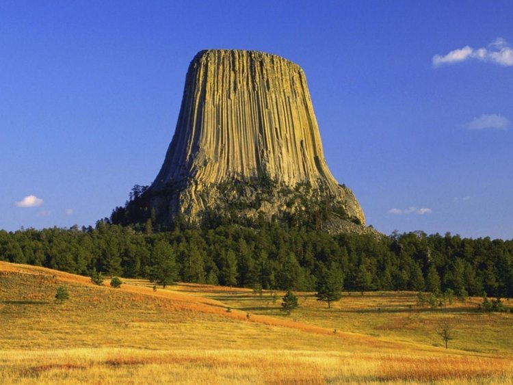 Name:  devils-tower-21.jpg
Views: 846
Size:  76.8 KB