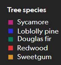 Name:  trees.JPG
Views: 665
Size:  19.4 KB