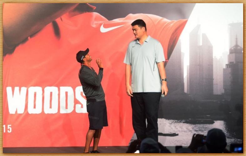 Name:  Tiger Meets Yao.JPG
Views: 635
Size:  51.8 KB