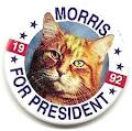 Name:  Morris for President.jpg
Views: 167
Size:  4.9 KB