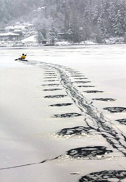 Name:  winterkayaking.jpg
Views: 536
Size:  88.0 KB