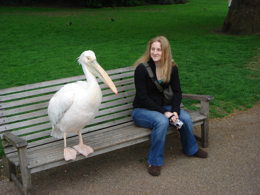 Name:  Pelican bench.jpg
Views: 1659
Size:  49.3 KB