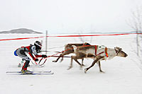 Name:  reindeer_race_200.jpg
Views: 1601
Size:  6.6 KB