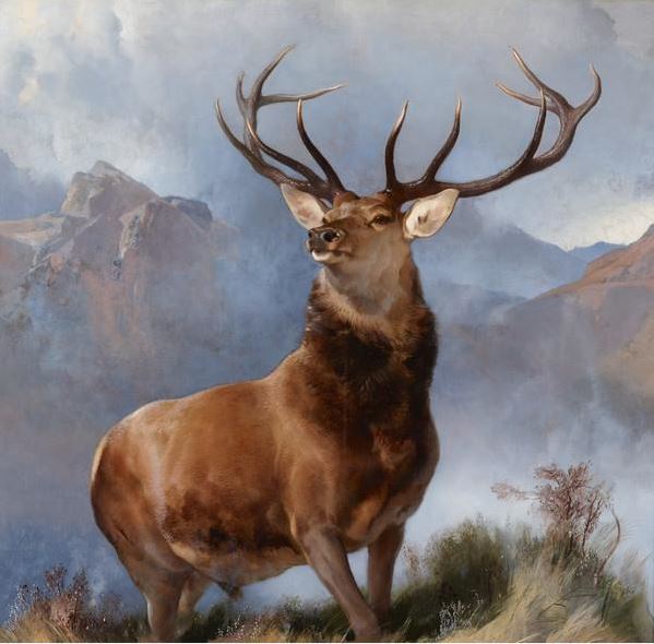 Name:  Monarch of the Glen.jpg
Views: 749
Size:  53.7 KB