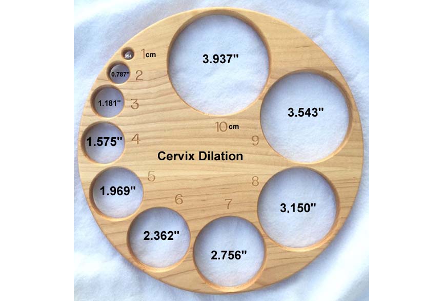 Cervix Dilation Chart Pics
